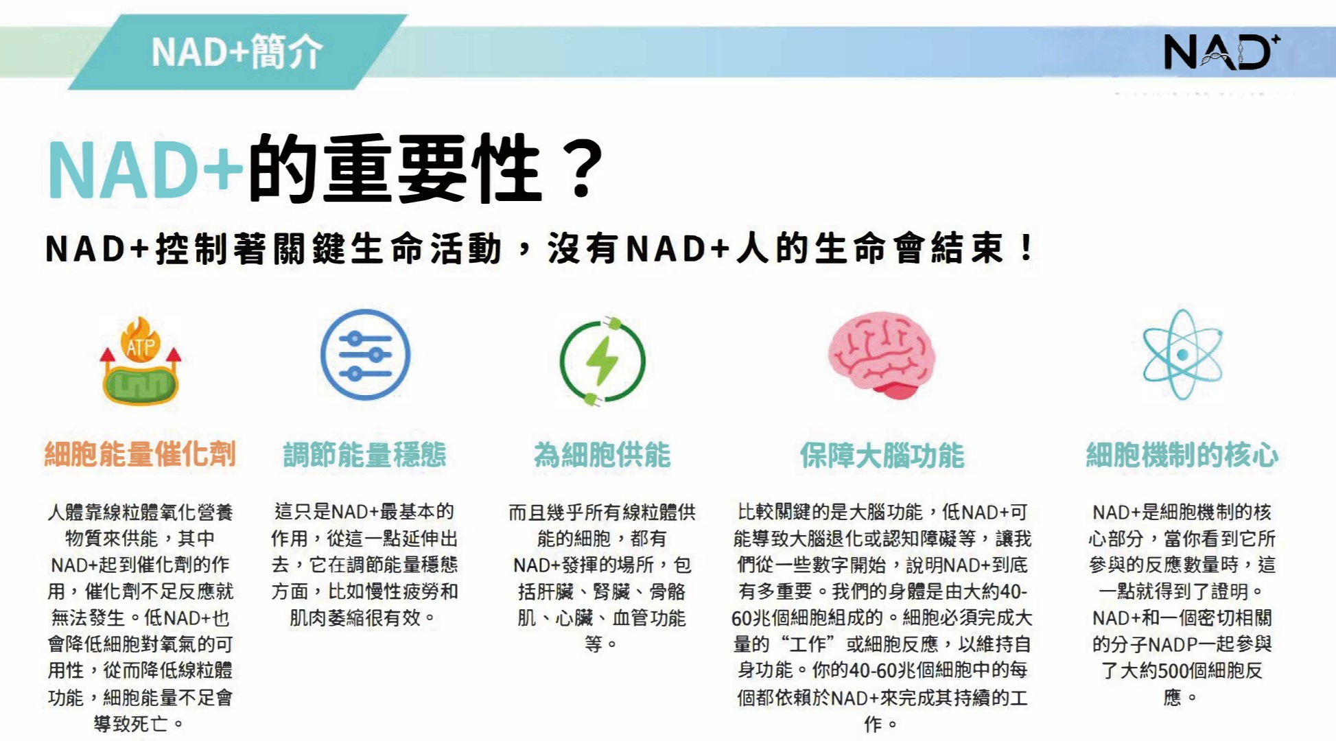 NAD⁺ 氧化還原反應