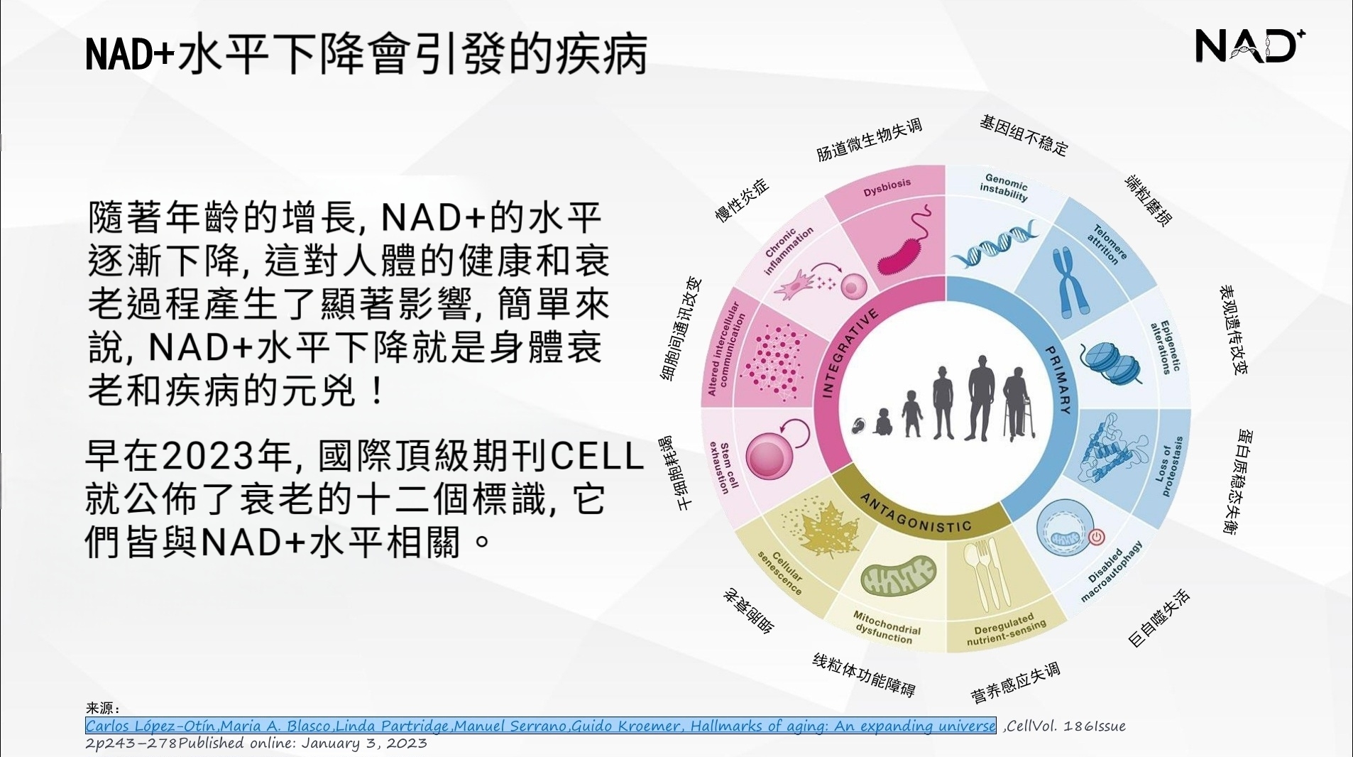 導致NAD⁺減小的原因