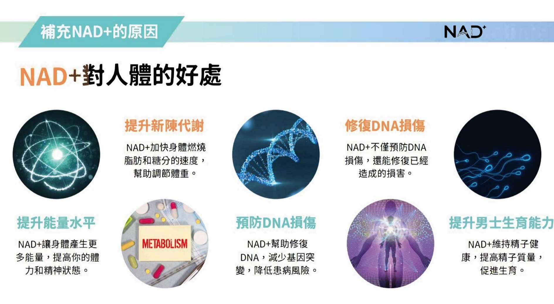 NAD⁺ 可改善的疾病