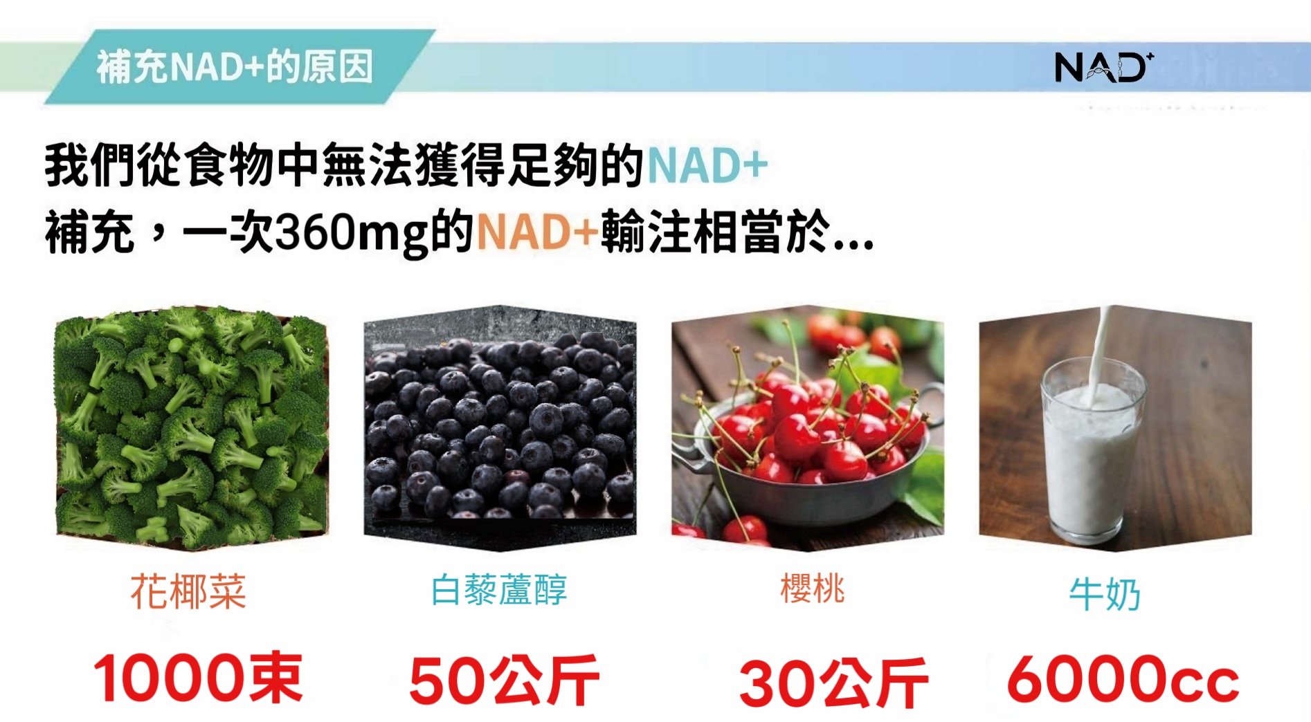 NAD⁺ 食物比較 360mg